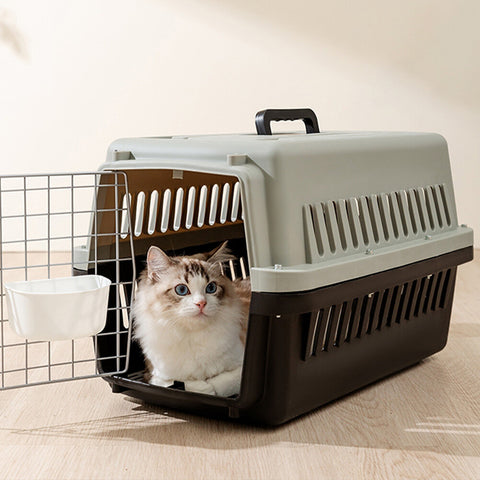 Cat inside a pet carrier on a light wooden floor