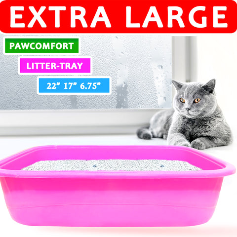 Pink cat litter tray with a gray cat sitting next to it, on a white background.