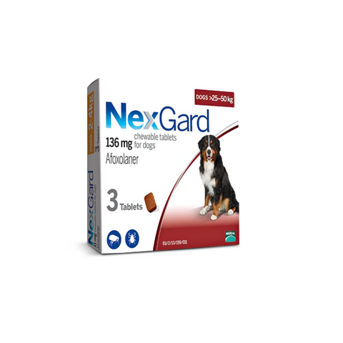 NexGard chewable tablets packaging for dogs on a white background