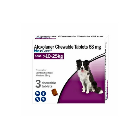 Box of Nexgard Afoxolaner Chewable Tablets for dogs on a white background