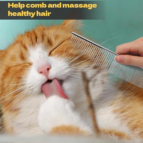 Cat being combed with a comb on a teal background