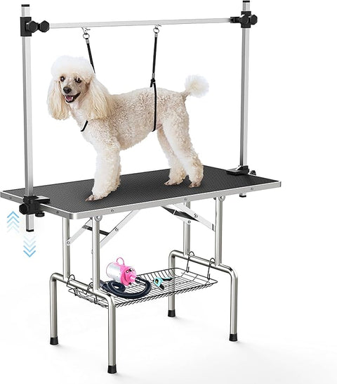 Dog standing on a grooming table with a white background