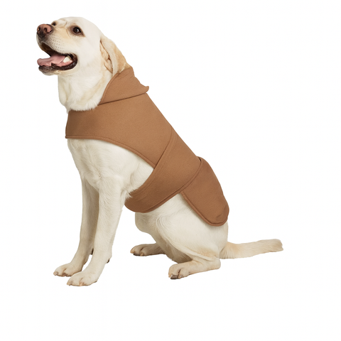 Dog wearing a brown coat on a white background