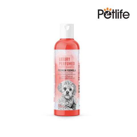 Pet shampoo bottle with a dog's face on the label against a white background, featuring the Petlife brand.