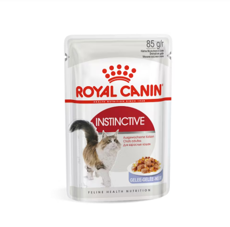 Royal Canin Instinctive cat food pouch on a white background