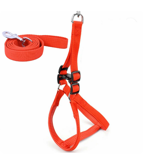 Dog Body Harness With Leash