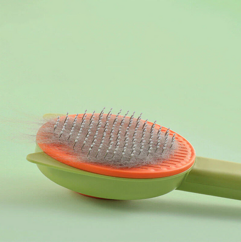 Button Brush Cat Face (In Box Pack)