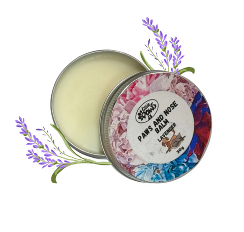 Little Paw Balm (Lavender/Cocoa Butter)-30GM