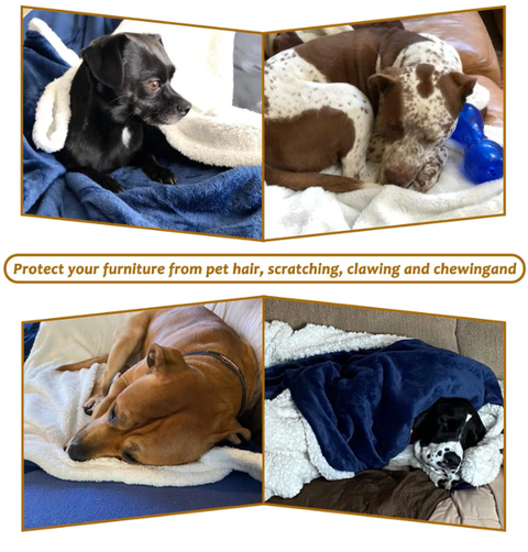Pet Blanket