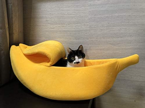 Banana Pet House