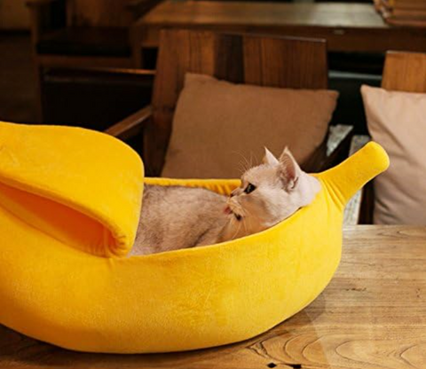 Banana Pet House