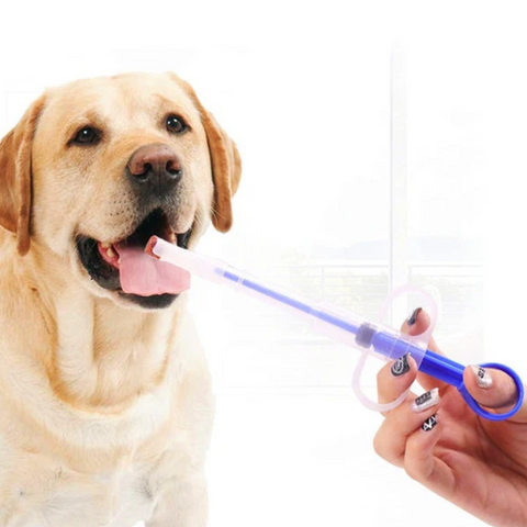 Pet Feeding Injection