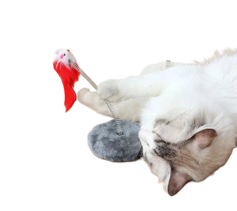 Spring Mouse Post For Cat