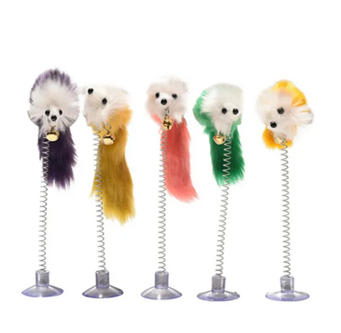 Spring Toy For Cats