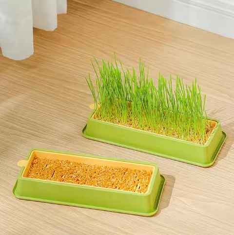 Cat Grass Planter Box