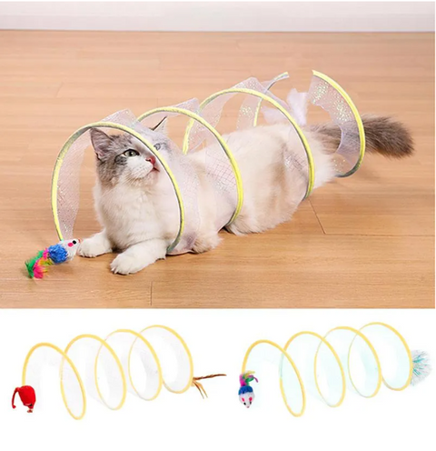Cat Playing Tunnel