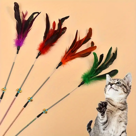 Cat Playing Stick With Spring
