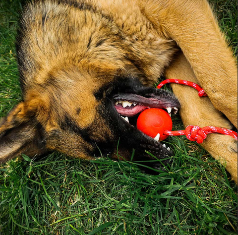 Red Hard Ball With Rope