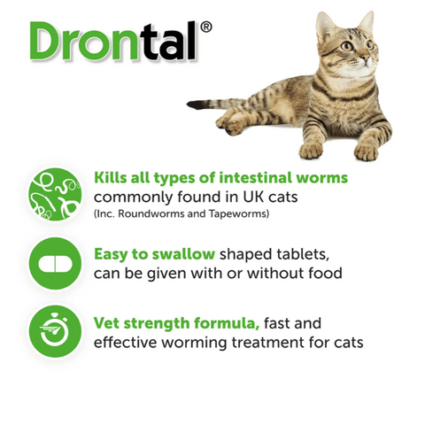 Drontal Tab Cats(Made in Thailand)-1 Tablet