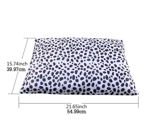Cat House Double M
