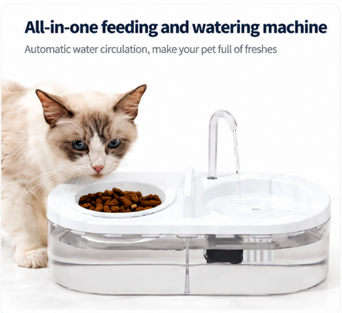 Oval Fountain With Feeding Bowl For Pets