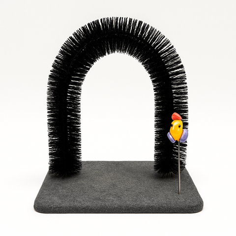 Black arch-shaped cat toy with a colorful bird figure on a gray platform