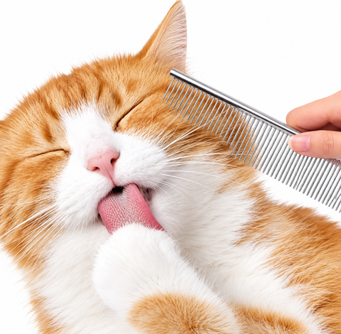 Fine-Tooth Metal Pet Hair Comb for Gentle Brushing, Fur Detangling and Healthy Coat Care for Cats