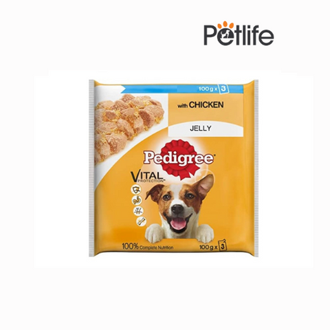 Pedigree Wet Food – 3 in 1 Pack – Chicken in Jelly