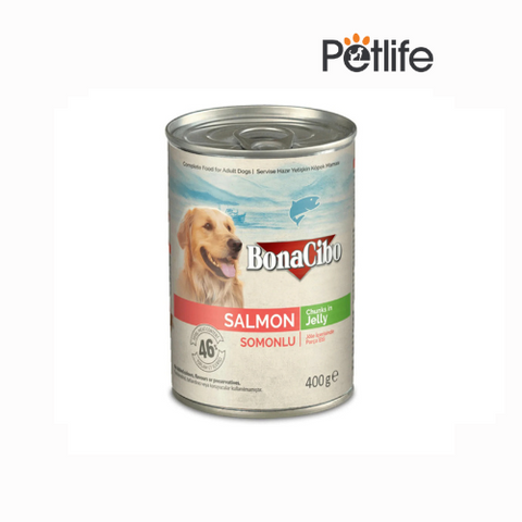 Bonacibo Wet Food for Dogs in Can – Salmon Chunks in Jelly
