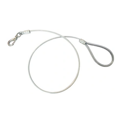 Wire Leash