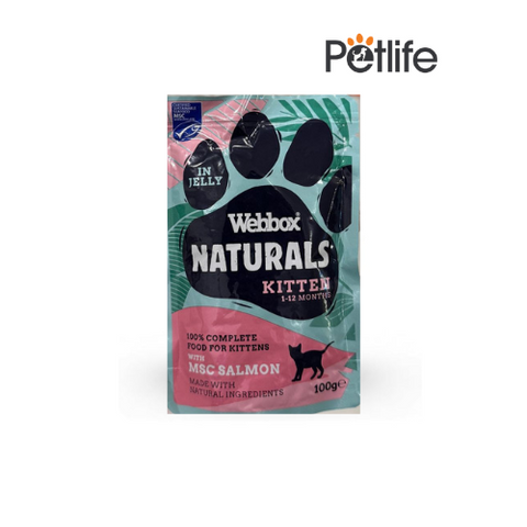 Webbox Natural Wet Food for Kittens / Jelly Pouches – 100 Gram