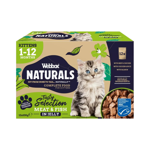 Webbox Naturals kitten food packaging with a cat on the front on a white background