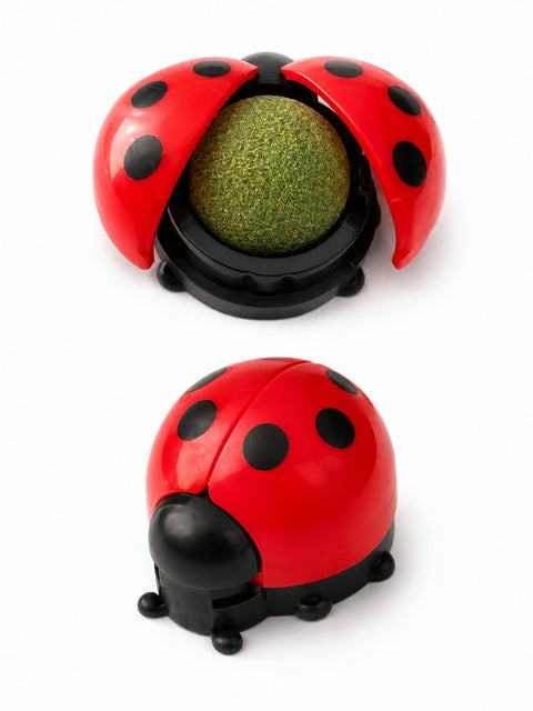 Ladybird Catnip Ball