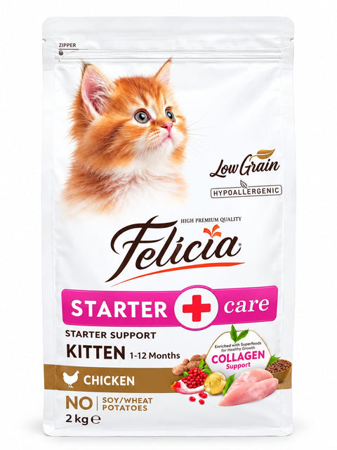 Felicia Kitten Food / Starter Care Kitten Chicken