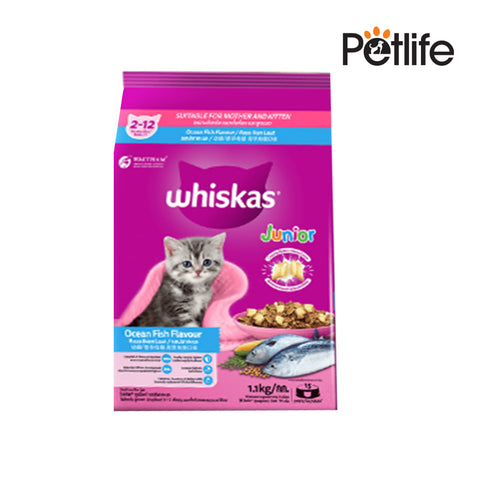 Whiskas Junior cat food package with a kitten picture on a white background