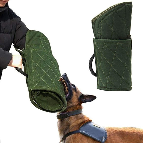 Green protective gear for a dog, held by a person, with a white background
