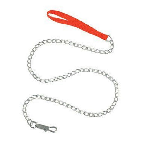 Chain Leash