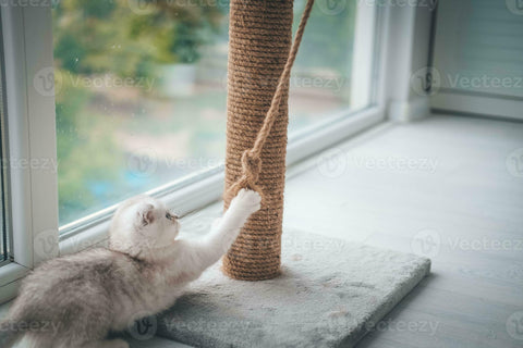 Scratching Post (Single Top)