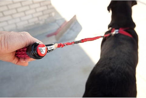 Fancy Puppy Leash additional view