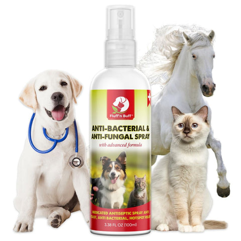 Fluff n Buff Anti Bacterial and Anti Fungal Spray 100ml