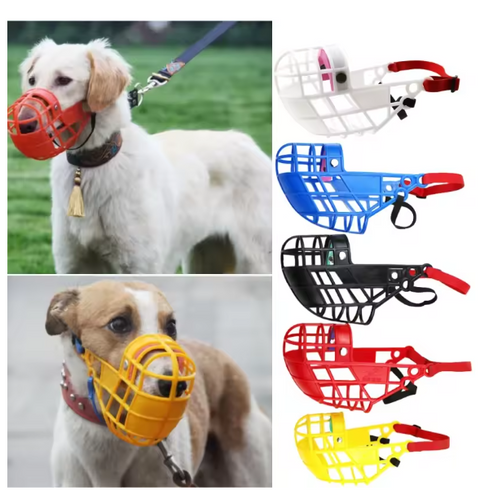 Greyhound Dog Muzzle additional view