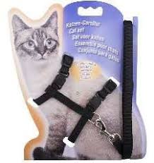 Cat Harness Simple Imp