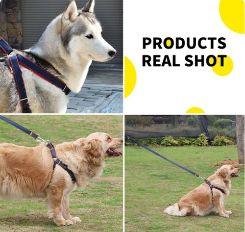 Jeans Pet Harness additional view
