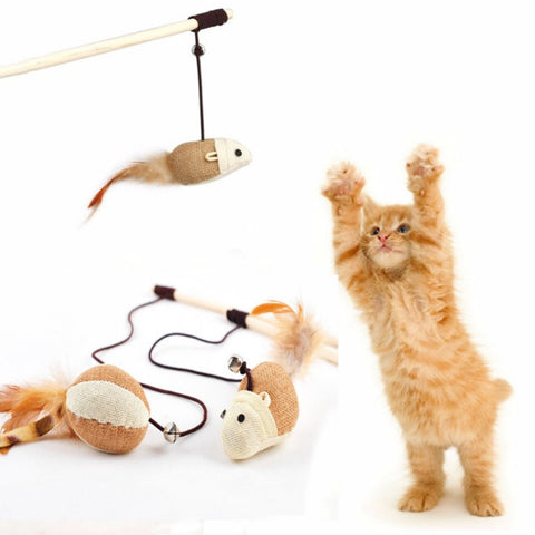 Plastic Stick With Ball-Cat Playing Stick
