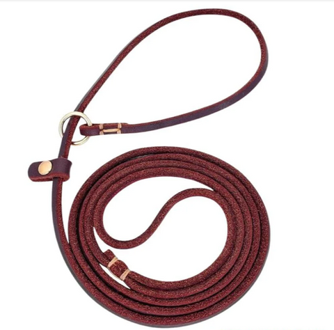 Leather Choke Dog Leash