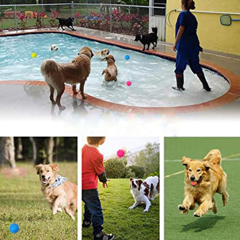 Medium Puppy Training Ball additional view