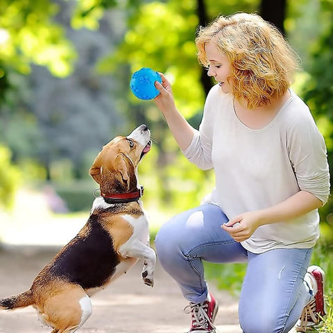 Medium Puppy Training Ball additional view
