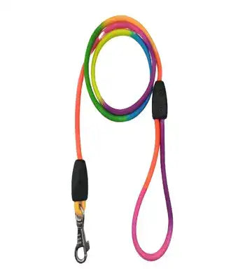 Multi Colour Pet Leash