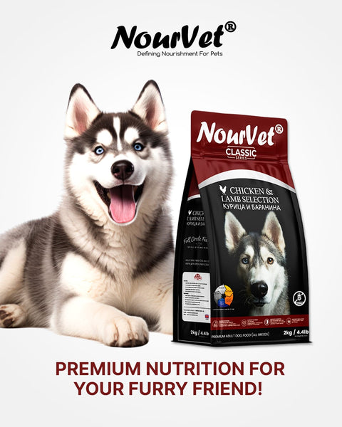 Nourvet Classic Dog Food 2kg