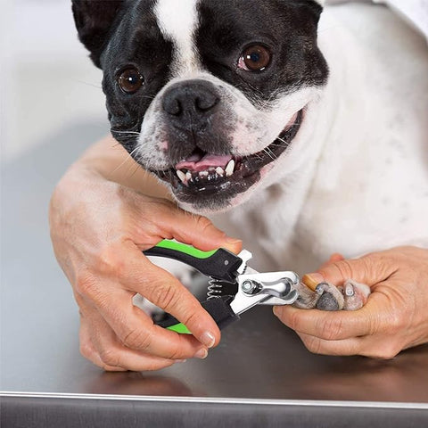 Pet Nail Clipper for Cats and Dogs additional view